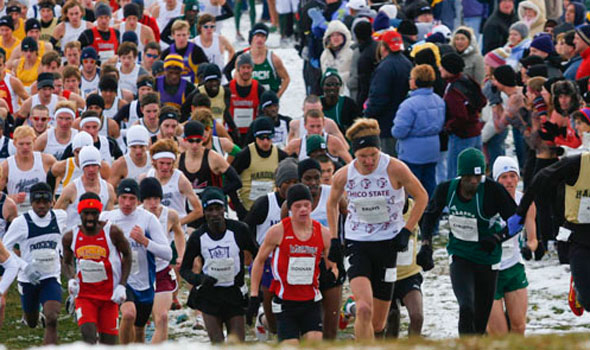 View the Division II Men’s Cross Country Regional Rankings