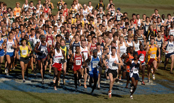 Week 2 of the USTFCCCA Division I Regional Rankings Now Posted