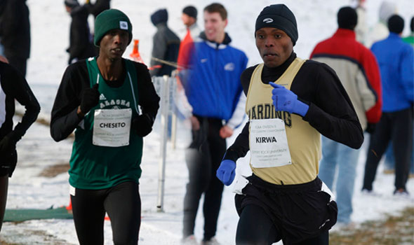 Kirwa, Cheseto, and Martin Highlight List of D2 Men’s XC Regional Honorees