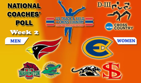 North Central (Ill.) Men Moves To No. 1 Spot in D-III Cross Country Poll