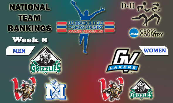 D-II National Cross Country Rankings: Week 8, November 10