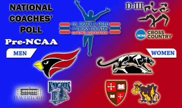 Final Regular Season National Poll Still Has North Central, Middlebury as Favorites in D-III