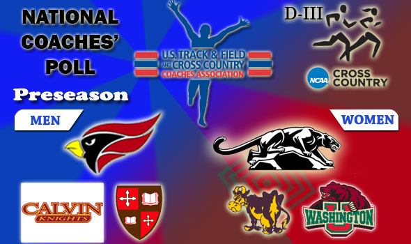 Division III National Poll Places North Central, Middlebury as Top Teams in Preseason