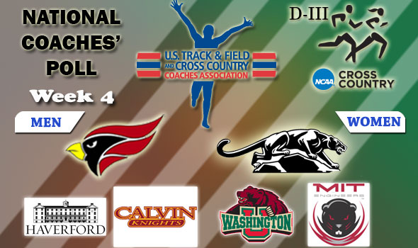 DIII National Cross Country Coaches Poll — Week 4