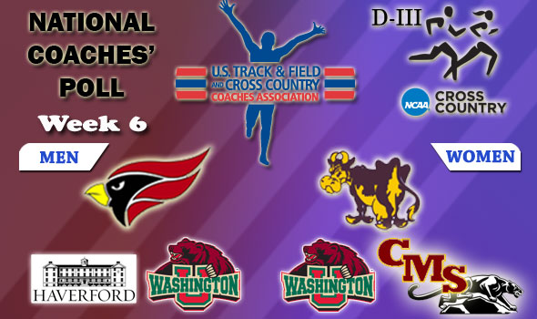 DIII National Cross Country Coaches Poll — Week 6