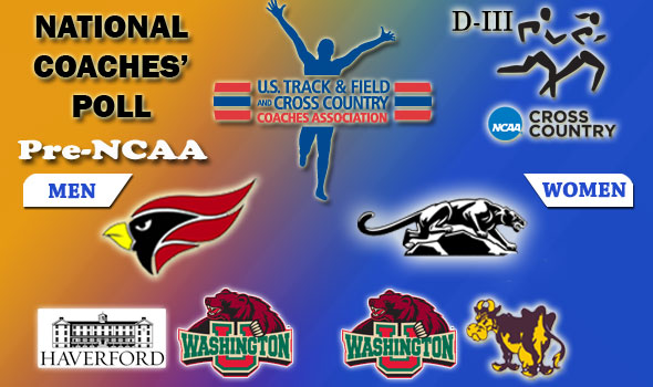 Final Regular Season Poll in DIII has North Central, Middlebury as National Favorites
