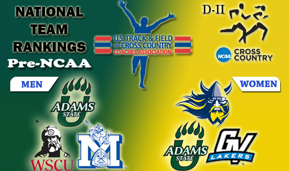 DII National Cross Country Rankings: 2012 Pre-NCAA Championships