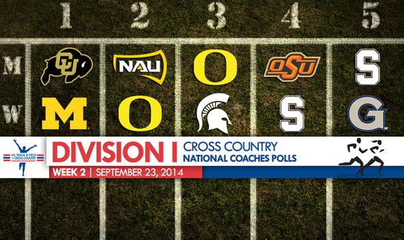 Division I Cross Country National Coaches Polls Remain Calm – But Not For Much Longer
