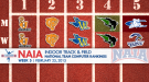 Indiana Tech Continues to Lead Stable NAIA Rankings