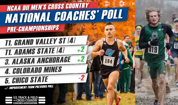Two Teams Tied Atop Final Men’s NCAA DII National Coaches’ Poll