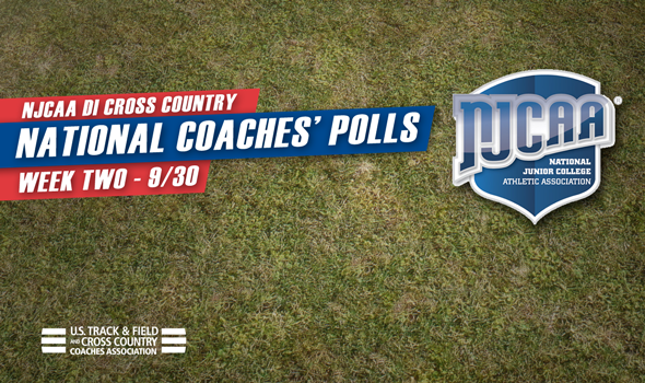 Central Arizona, Iowa Central Teams to Beat in NJCAA Division I
