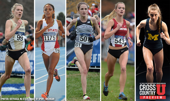 NCAA DI XC Championships: Keys To Victory For Podium Contenders