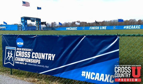 It’s Cross Country Championship Saturday!